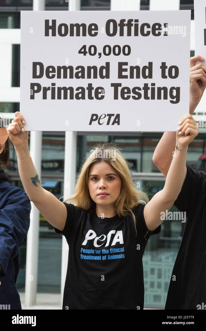 London, UK. 24 April 2017. To mark World Day for Animals in Laboratories, PETA members gathered outside the Home Office wearing monkey masks to protest experimenters' attempts to change the category of suffering assigned to neurological experiments on primates from 'severe' to 'moderate'. A letter with more than 40,000 signatures was delivered to the Home Office calling on the government not only to reject attempts to downgrade severity classification but also to end these cruel experiments altogether. Stock Photo