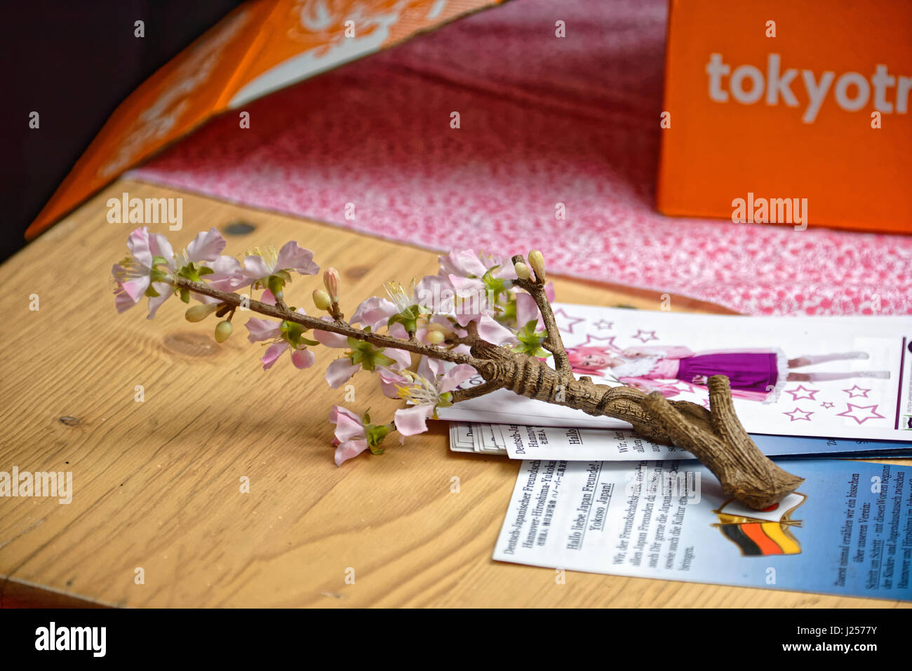Hiroshima-das Kirschblütenfesti in Hannover Stock Photo - Alamy