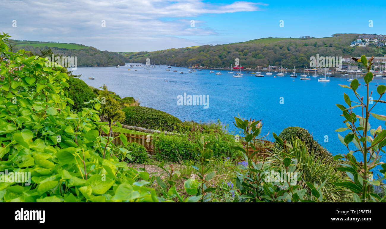 coast of fowey Stock Photo Alamy