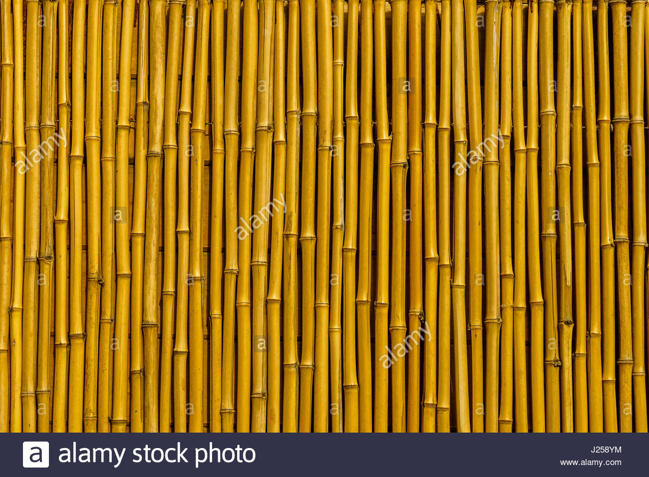 Cane Wall High Resolution Stock Photography and Images Alamy