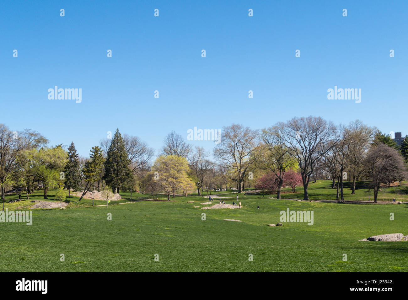 East meadow of central park hires stock photography and images Alamy