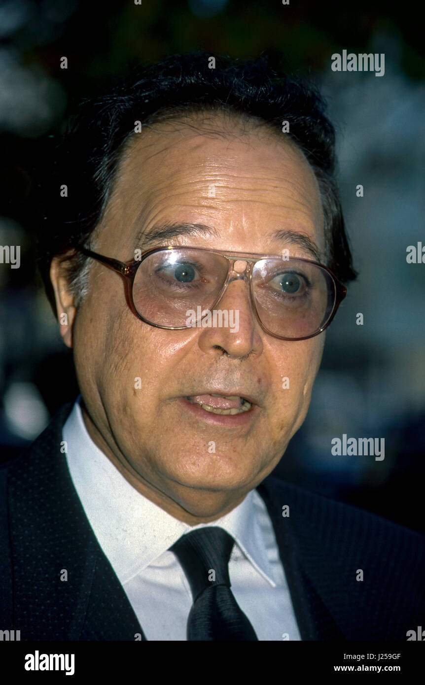 Iraqi Ambasador to the United States speaks with reporters outside the