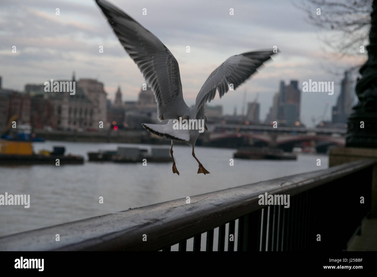 Southbank river walk, London Stock Photo