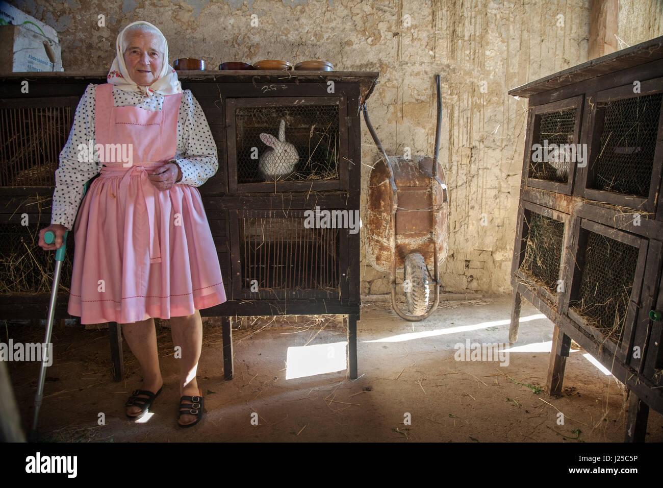 Woman with her rabbits in a  tradiitional village house in southerm Moravia Stock Photo