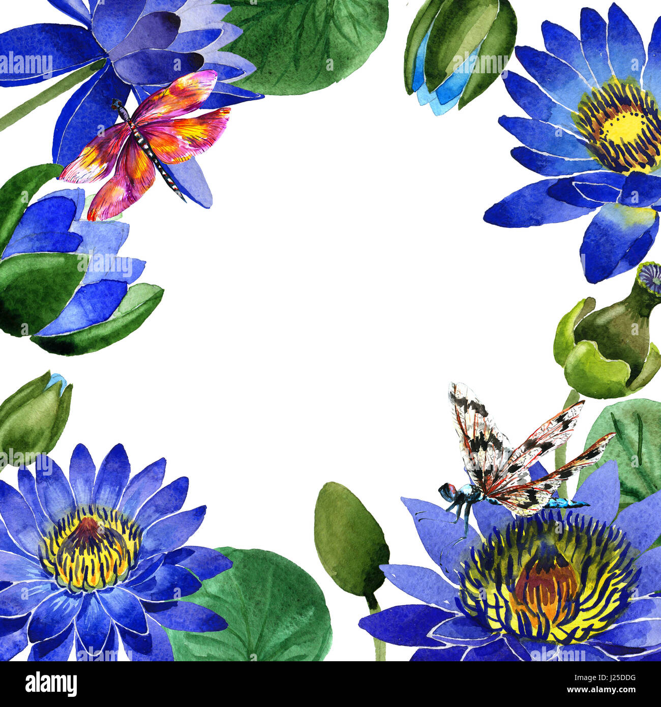 Wildflower blue lotus flower frame in a watercolor style isolated 