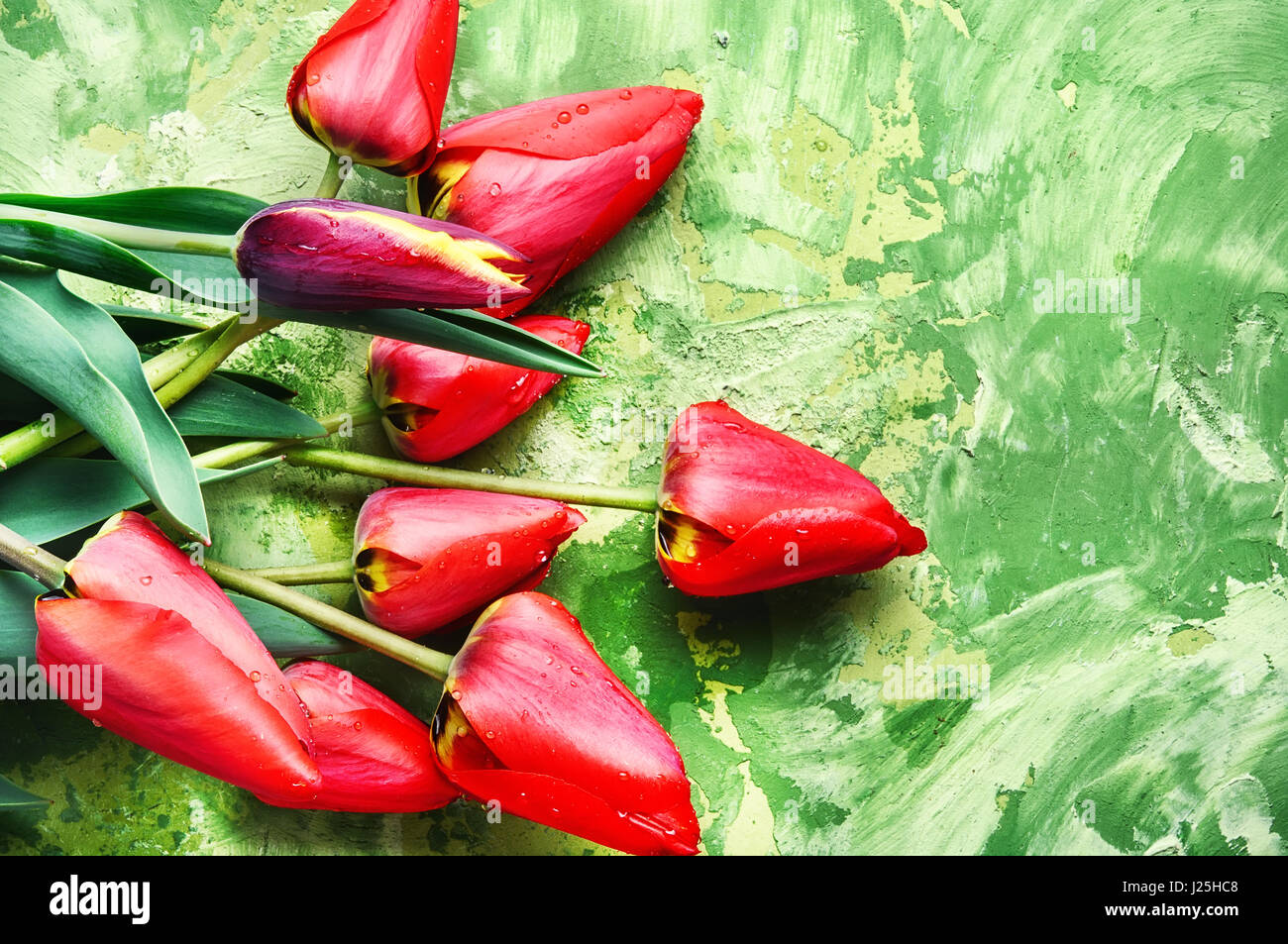 beautiful bouquet red tulips on green background Stock Photo - Alamy