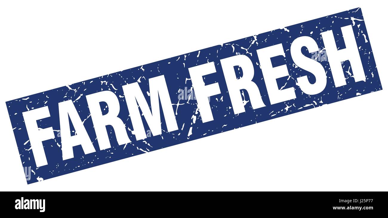 square grunge blue farm fresh stamp Stock Vector Image & Art - Alamy