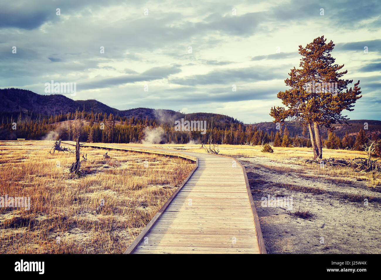 Vintage toned wooden path in Yellowstone National Park, Wyoming, USA. Stock Photo