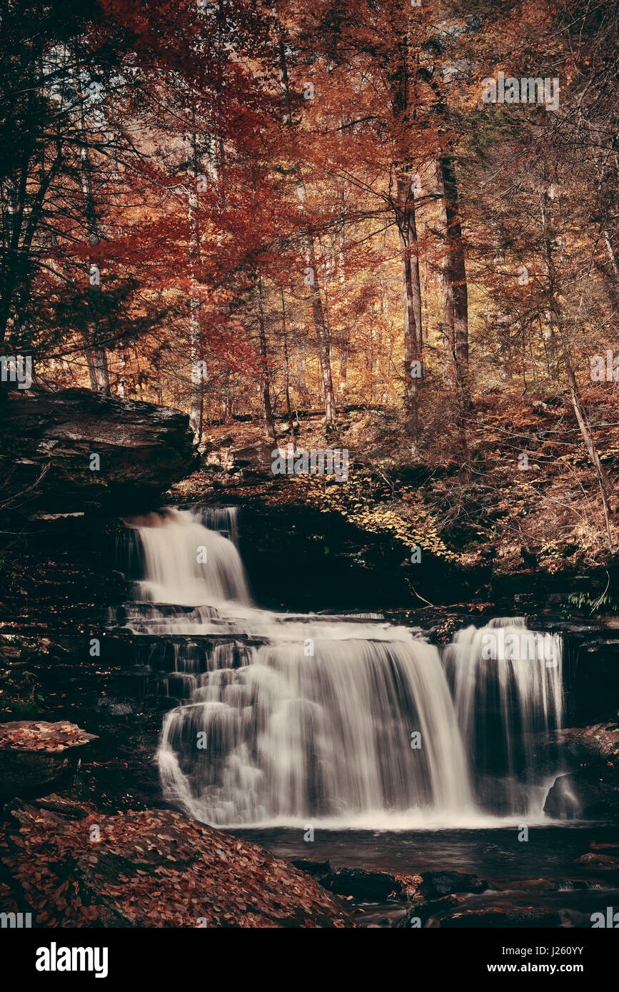 Autumn waterfalls in park with colorful foliage. Stock Photo
