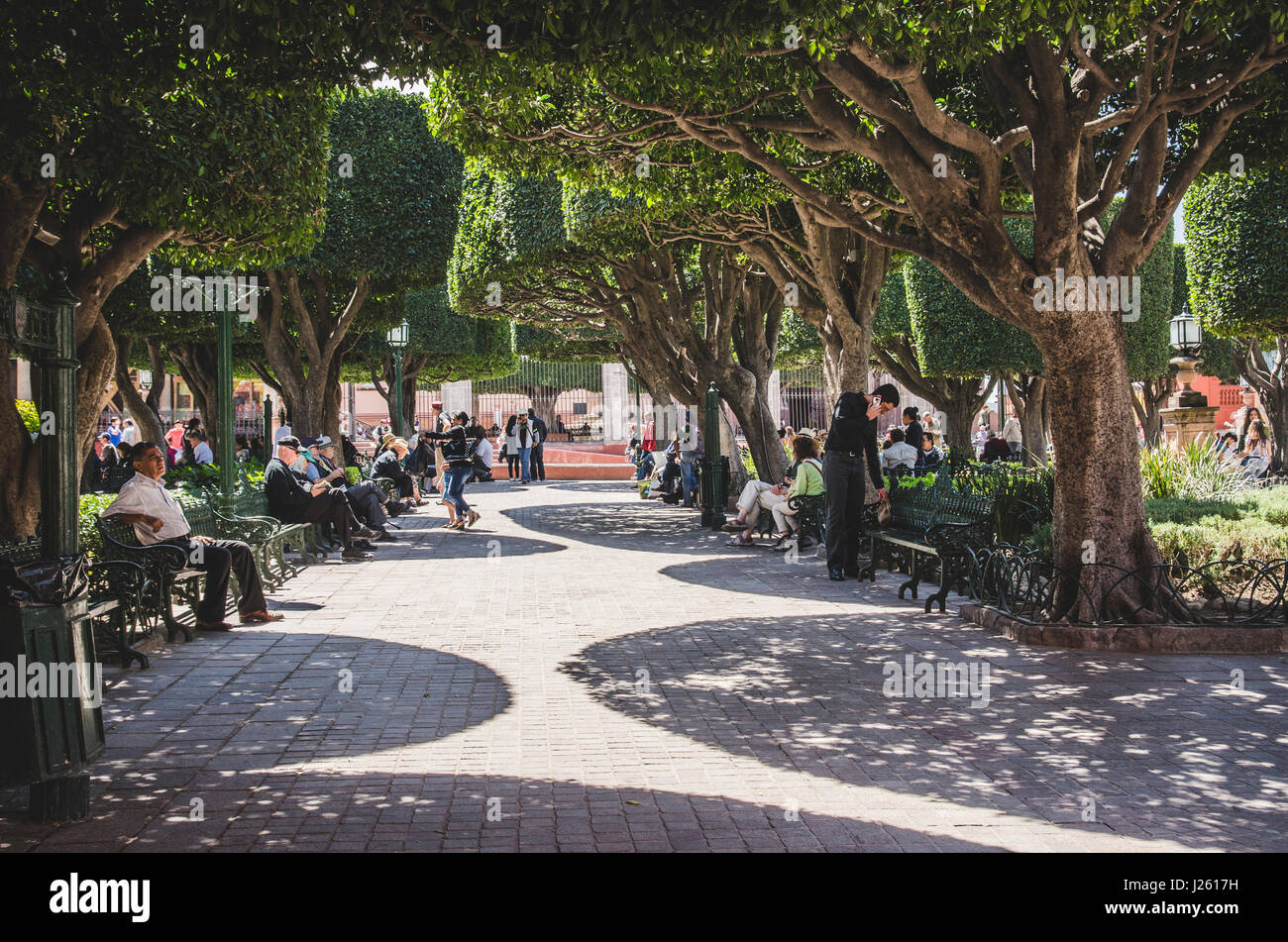 El Jardin, San Miguel de Allende Stock Photo Alamy El Jardin, San Miguel de Allende Stock Photo Alamy