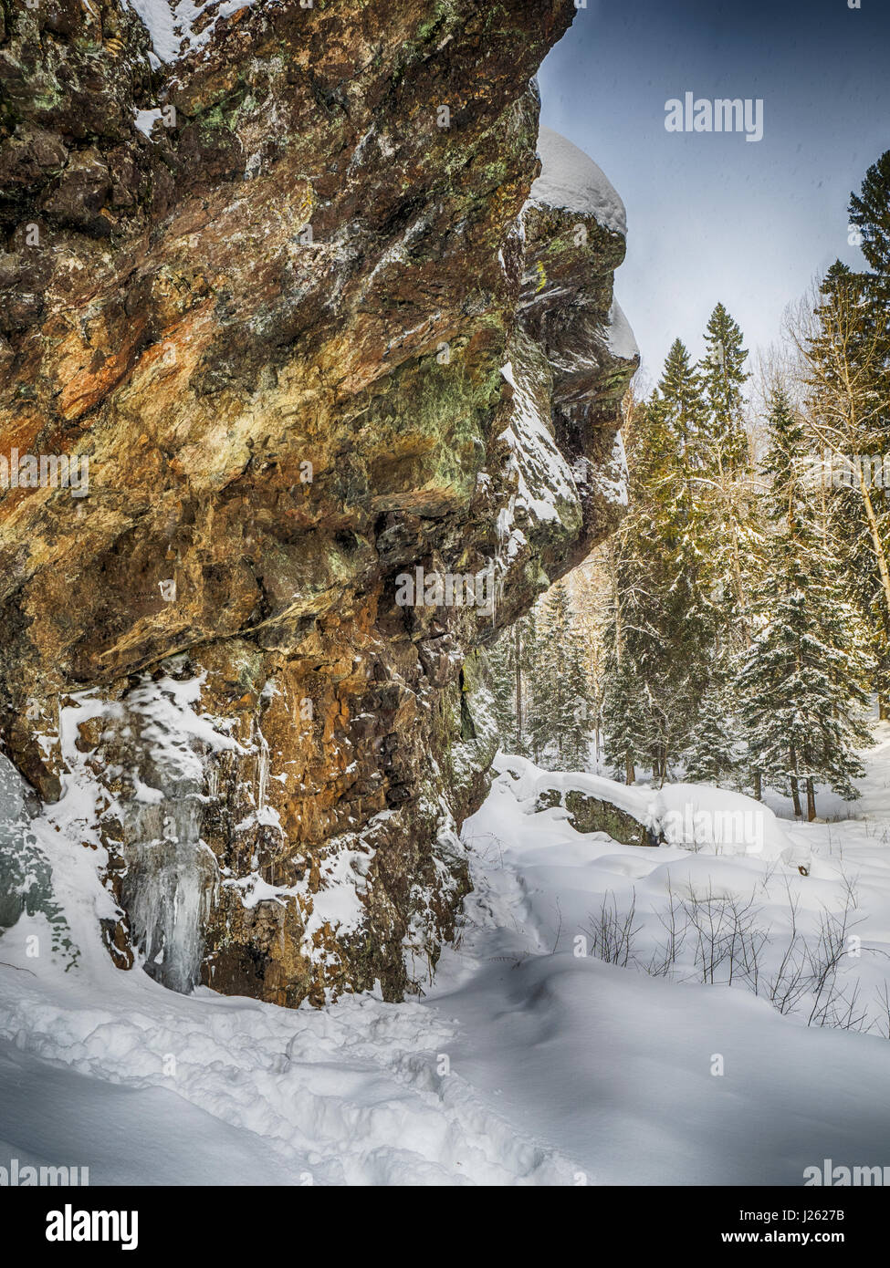 Uk Forest Rocks Rocks in the forest Stock Photo - Alamy