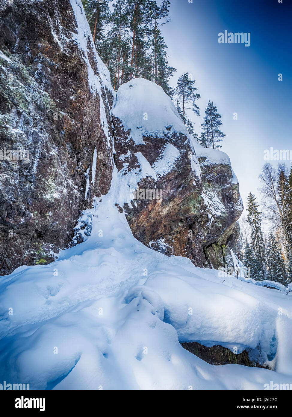 Rocks in the forest Stock Photo - Alamy