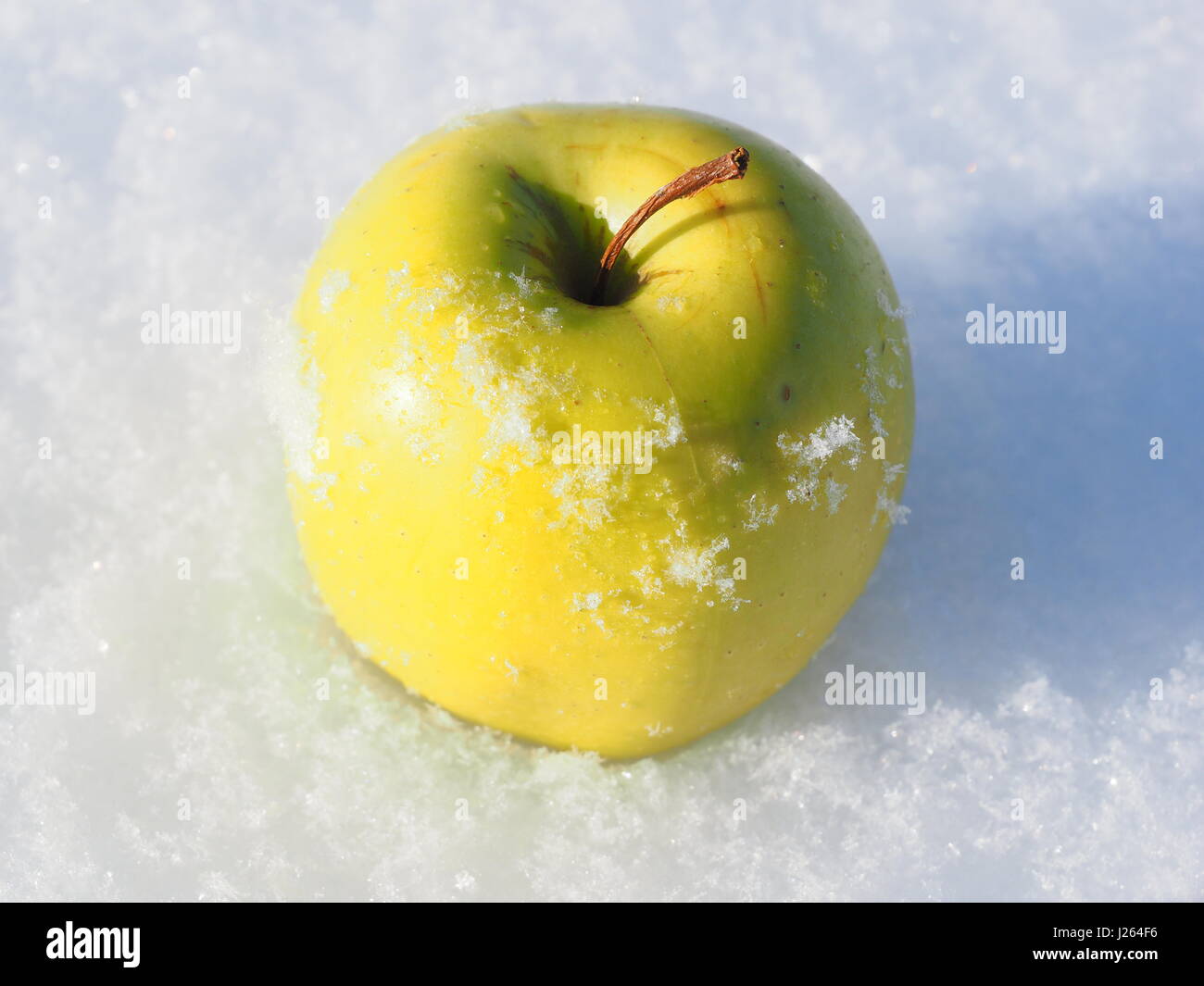 apple on snow Stock Photo - Alamy