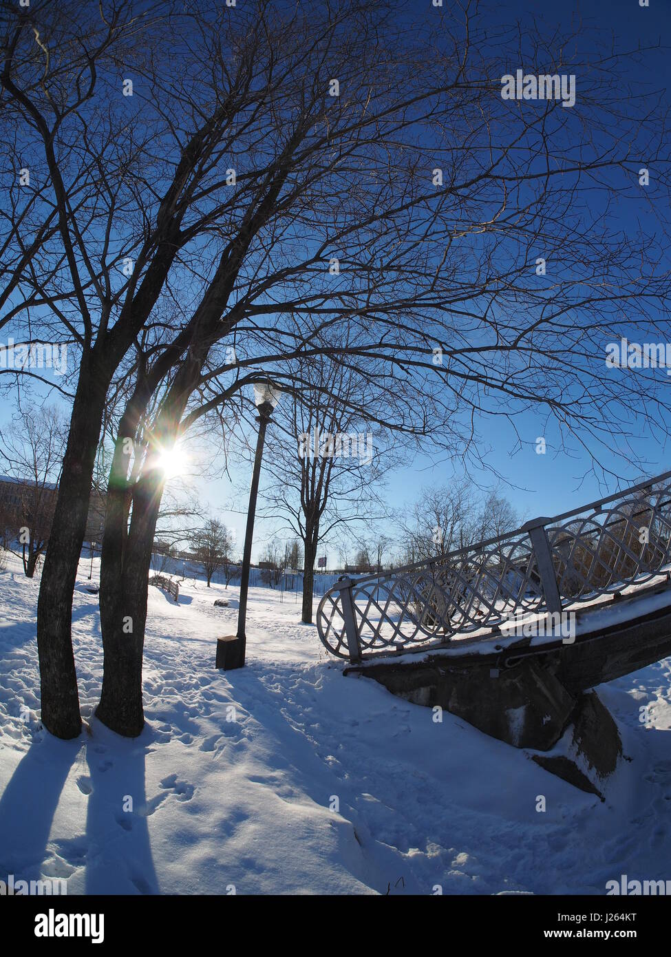 bridge in the park. winter Stock Photo - Alamy