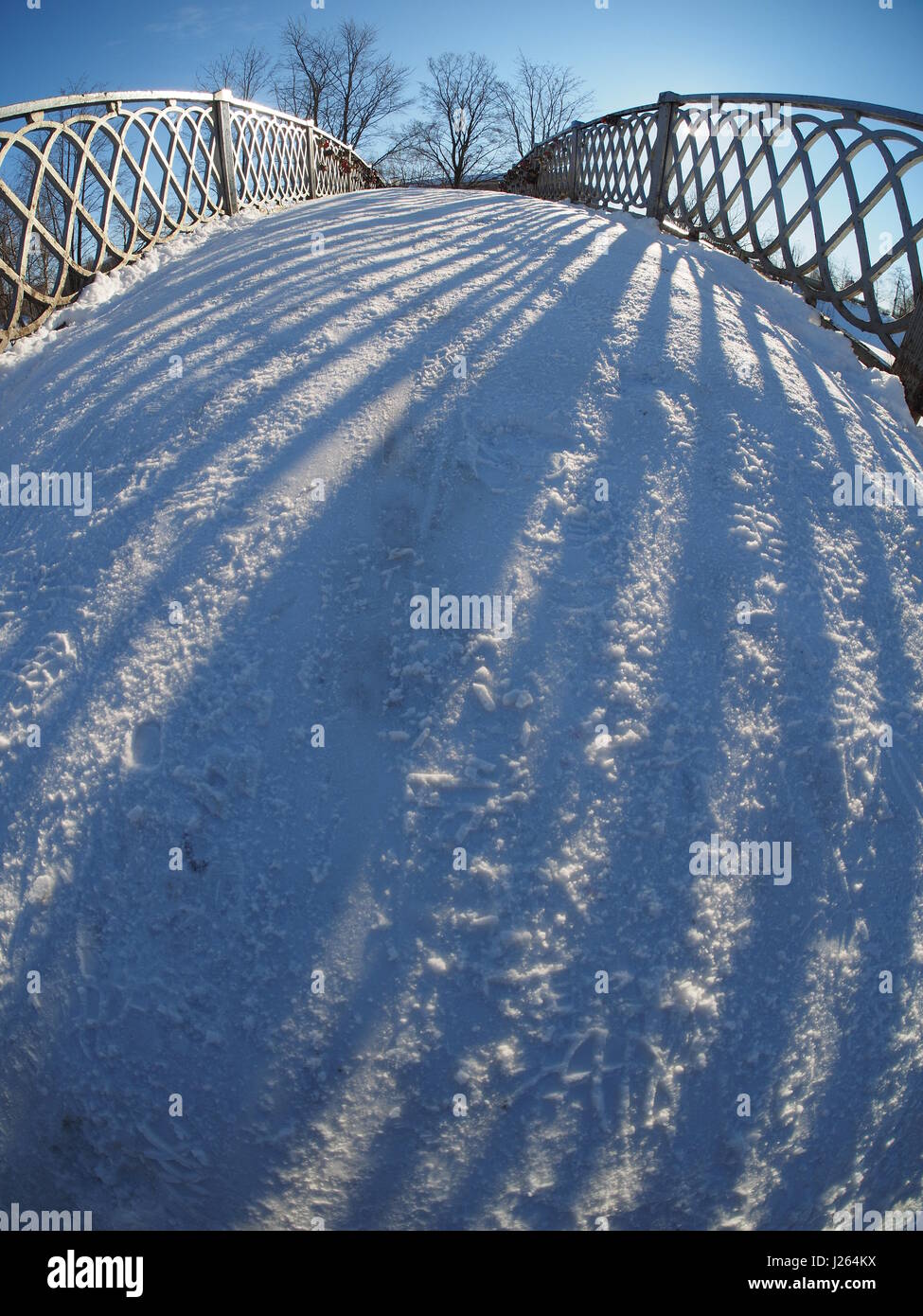 bridge in the park. winter Stock Photo - Alamy
