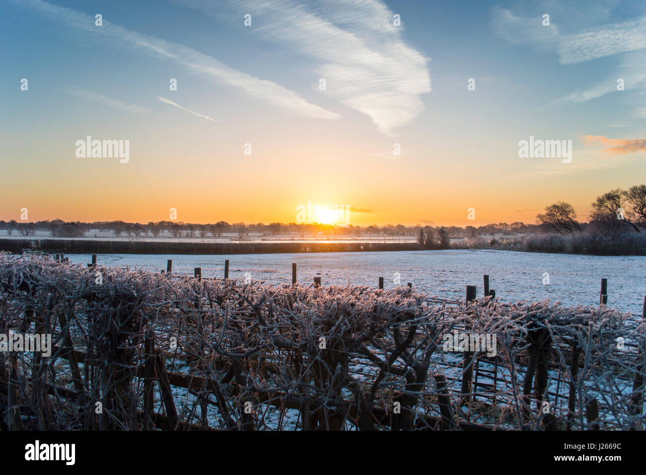 Sunrise over snow covered field hi-res stock photography and images - Alamy