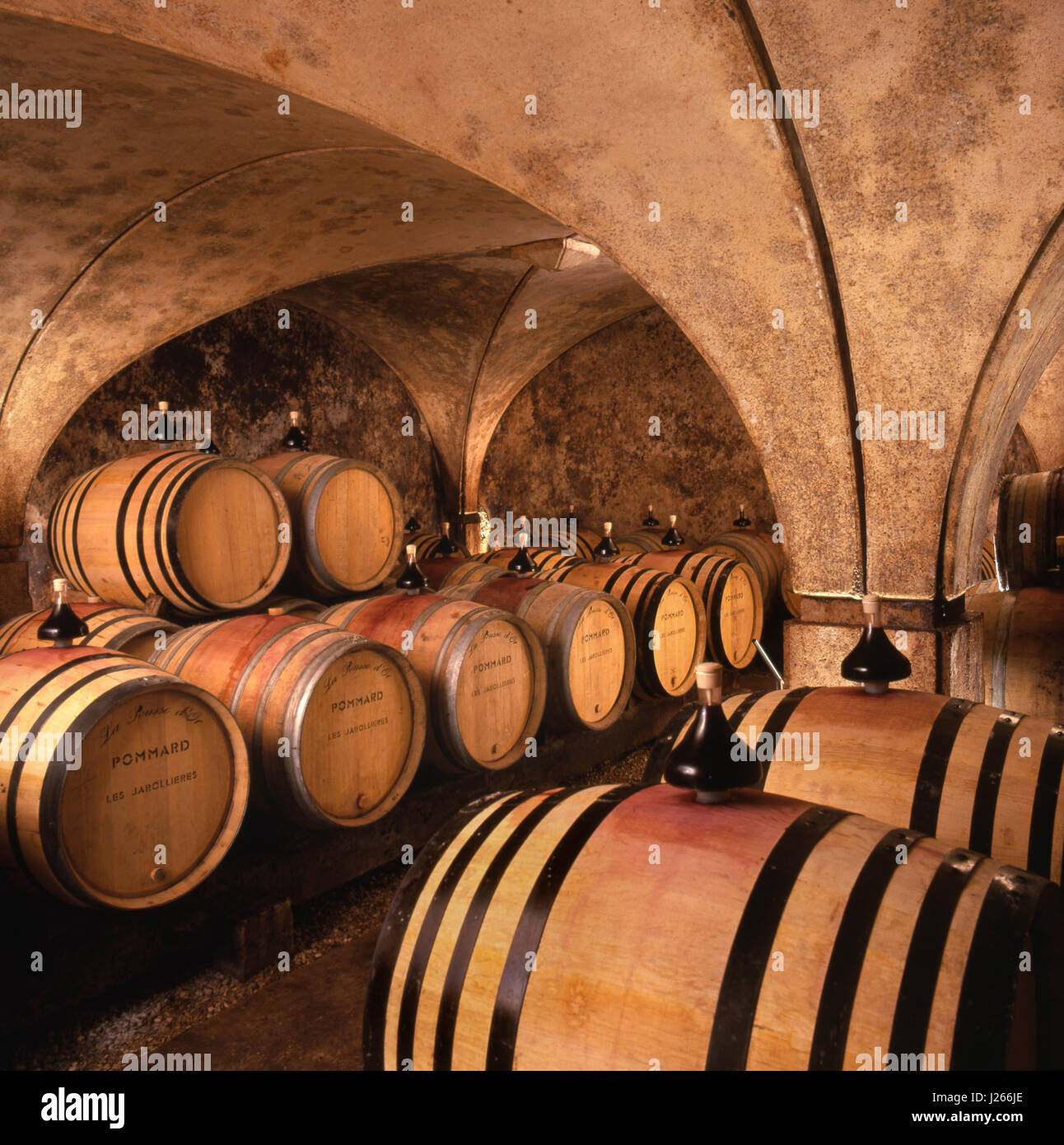Domaine de la Pousse d'Or barrel wine cellar, Volnay, Côte d'Or, Burgundy France Stock Photo