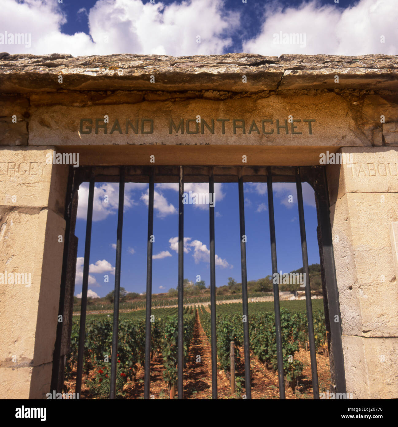 LE MONTRACHET STONE Entrance gate to the fine Grand Montrachet vineyard, Puligny-Montrachet, Côte d'Or, France. [Côte de Beaune Grand Cru] Stock Photo
