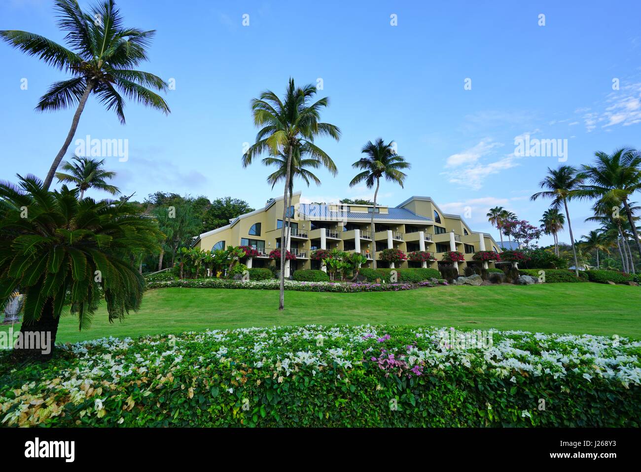 View of the Westin St John Resort and Villas, a luxury resort hotel located on Great Cruz Bay in the United States Virgin Islands. Stock Photo