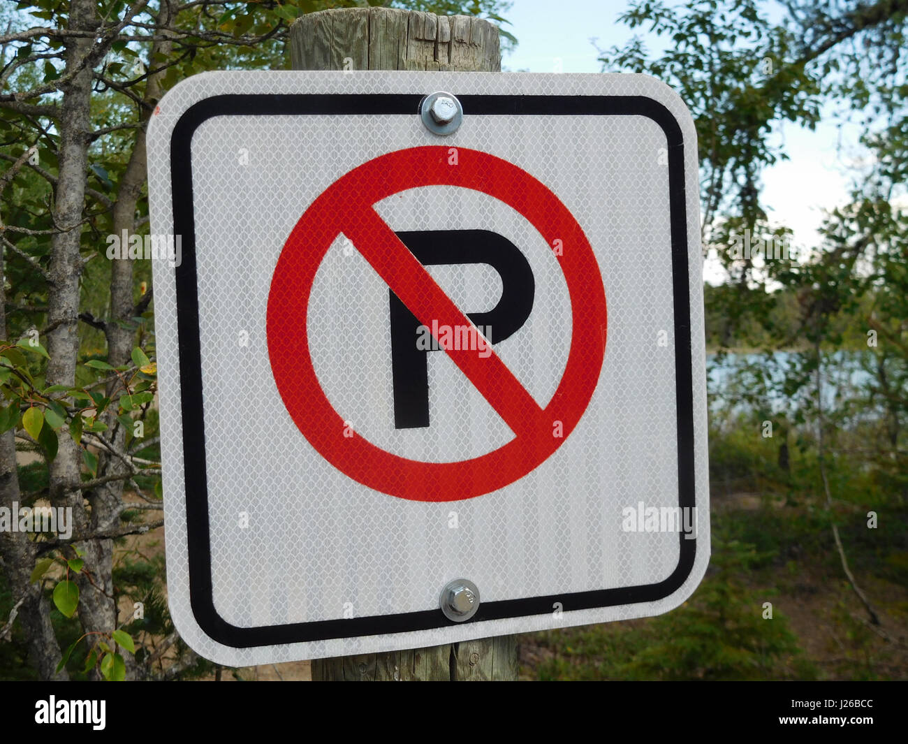 No Parking Sign Against a Forest Background. Stock Photo