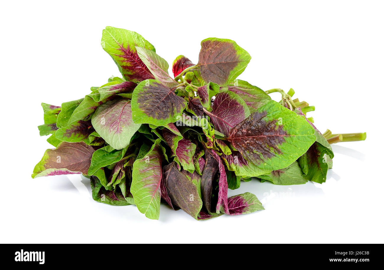 spinach isolated on the white background Stock Photo - Alamy