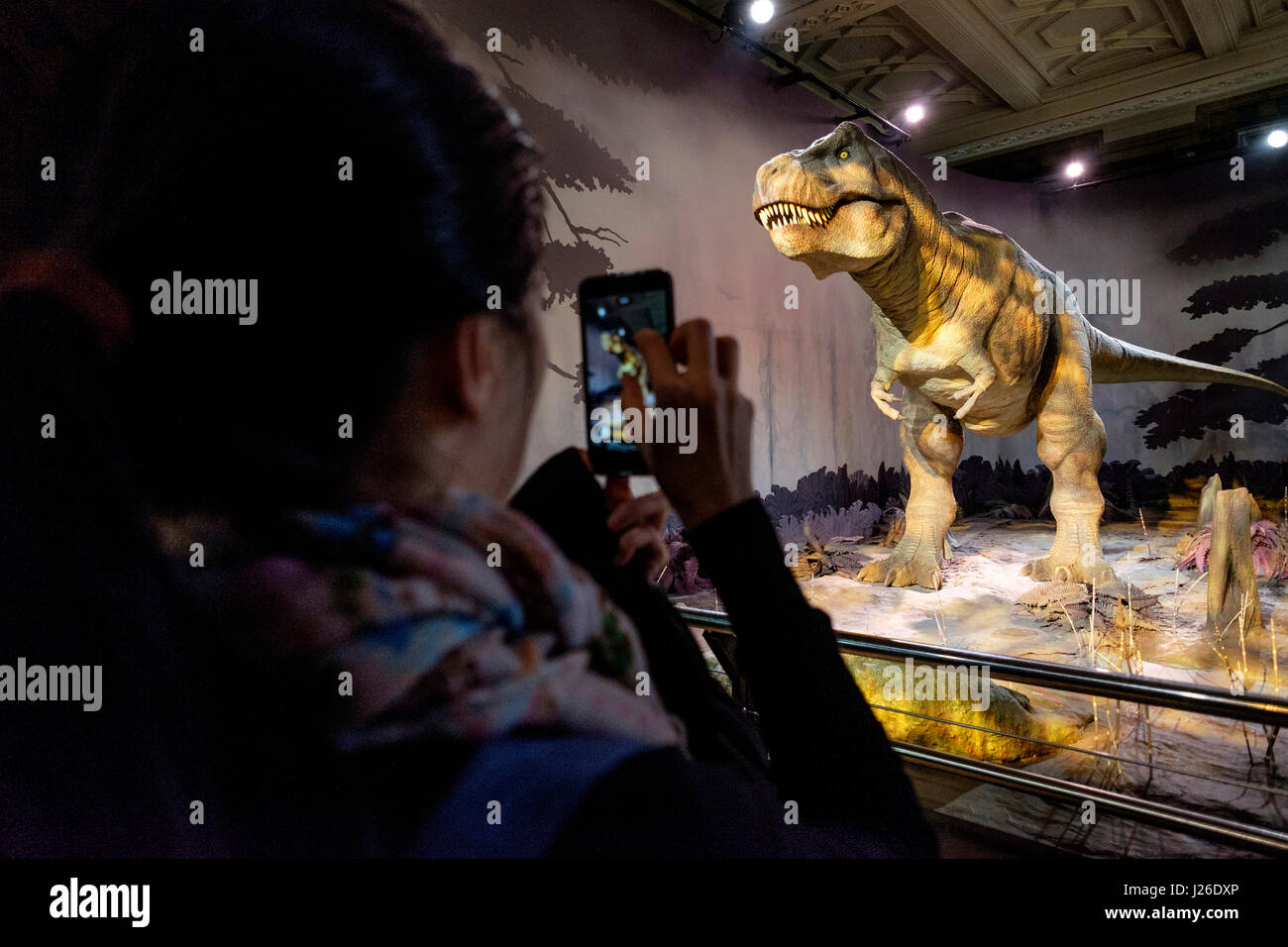 Woman taking a picture of an animatronic T-Rex dinossaur with her smartphone at the Natural History Museum in London, England, UK, Europe Stock Photo