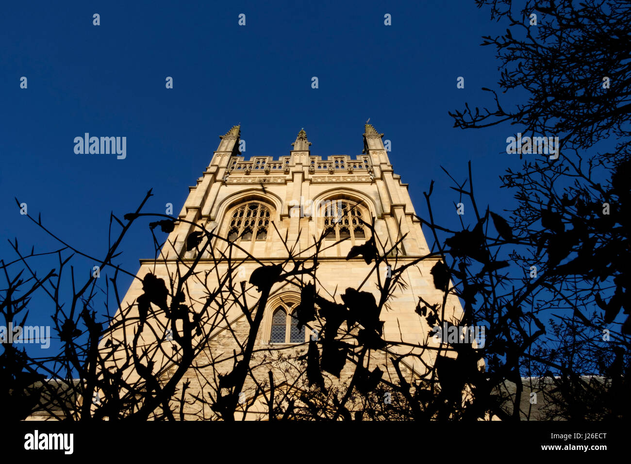 Merton college chapel hires stock photography and images Alamy