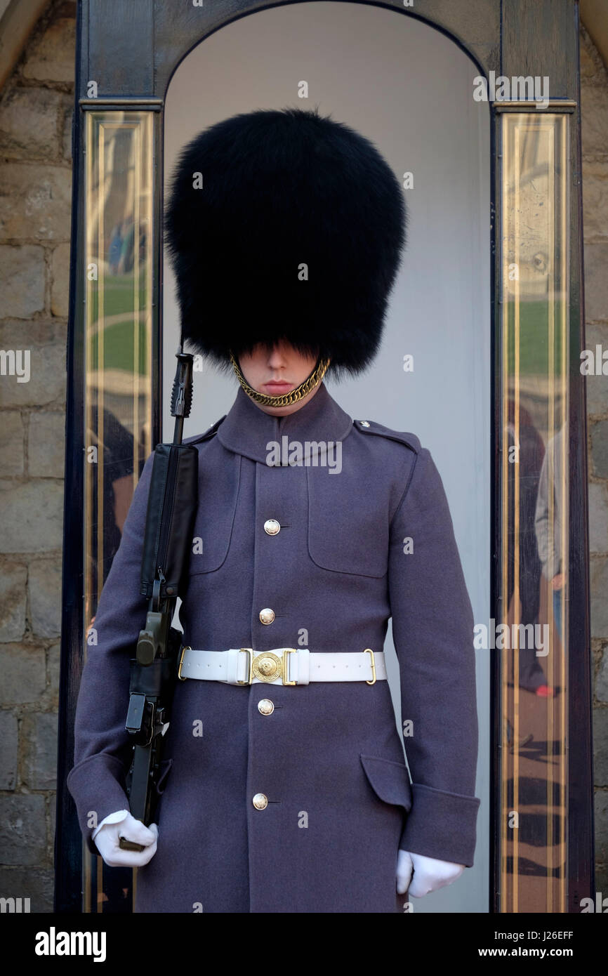 Queen's guard in Winter uniform at Windsor Castle, England, UK, Europe Stock Photo