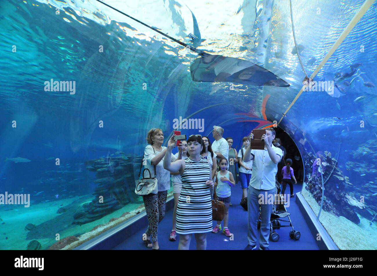 Israel, Eilat, The underwater observatory Built over a coral reef. The