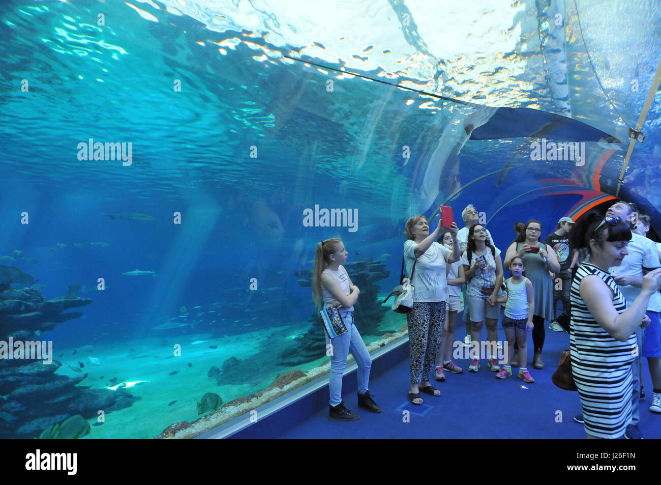 Israel, Eilat, The underwater observatory Built over a coral reef. The