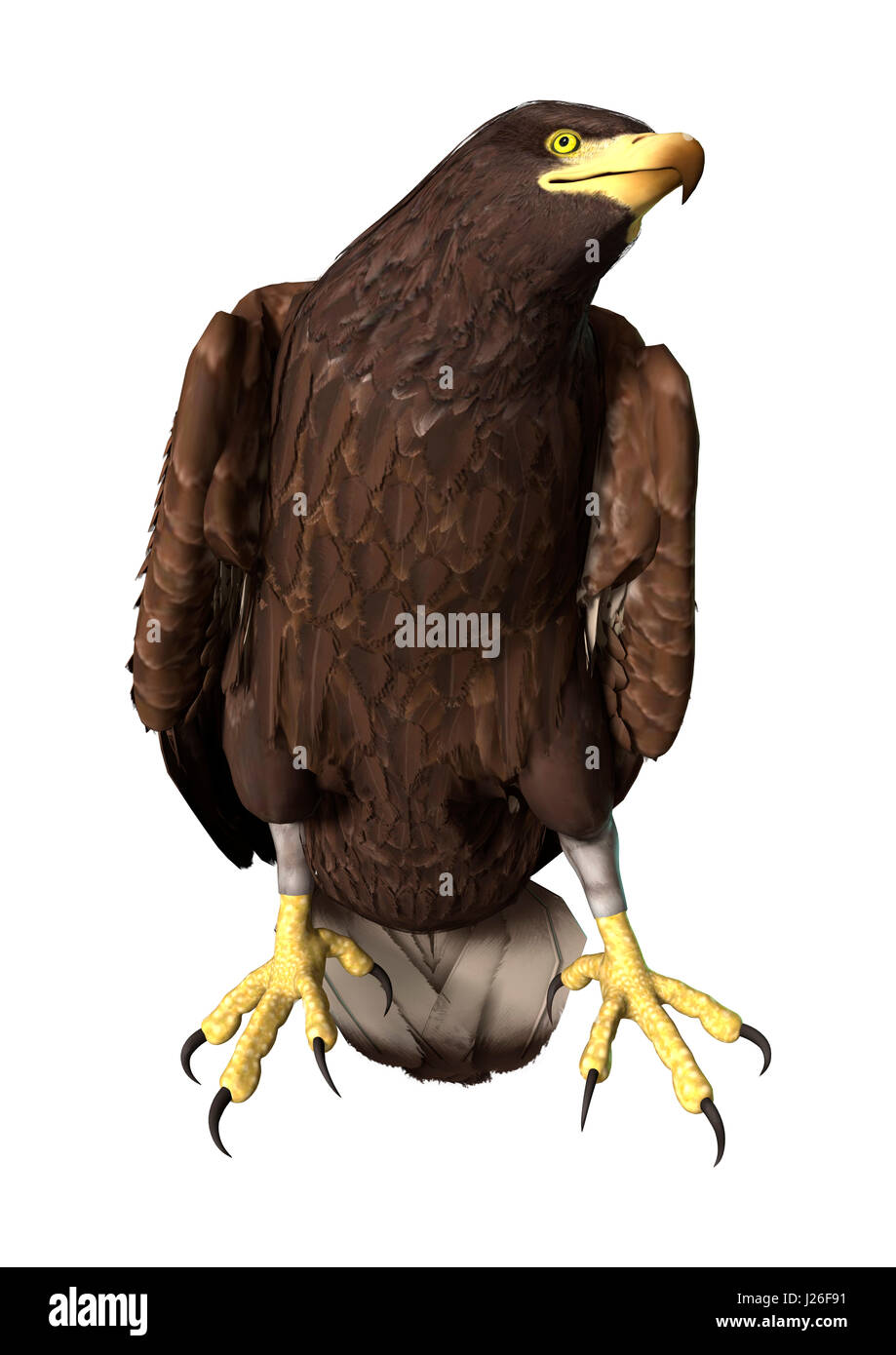 3D rendering of a bald eagle isolated on white background Stock Photo ...