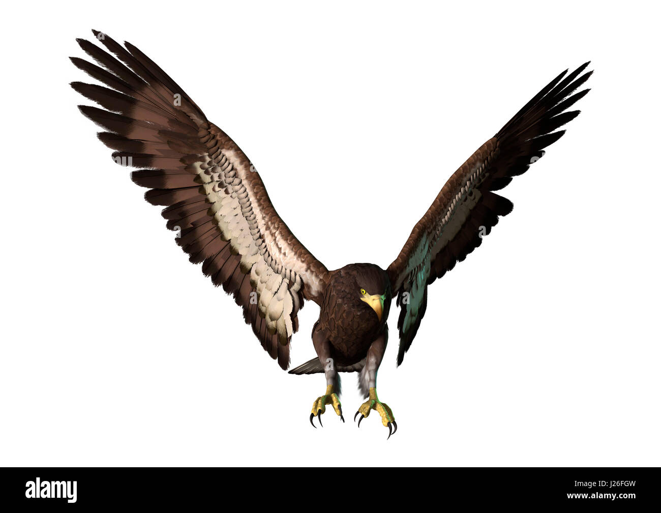 3D rendering of a bald eagle isolated on white background Stock Photo ...