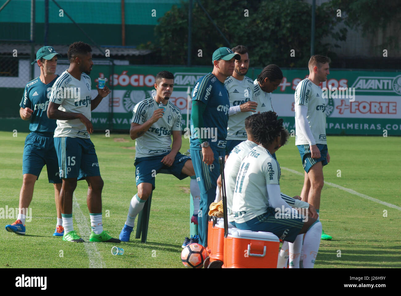Palmeiras Team Group High Resolution Stock Photography And Images Alamy