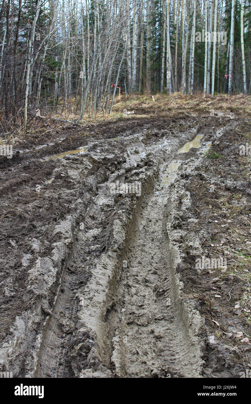 Mud ruts into a hunting camp. Stock Photo