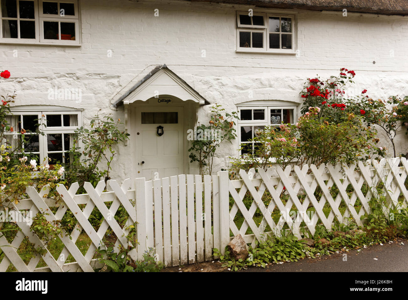 Old white cottage house with roses; Avebury, Wiltshire, England Stock Photo