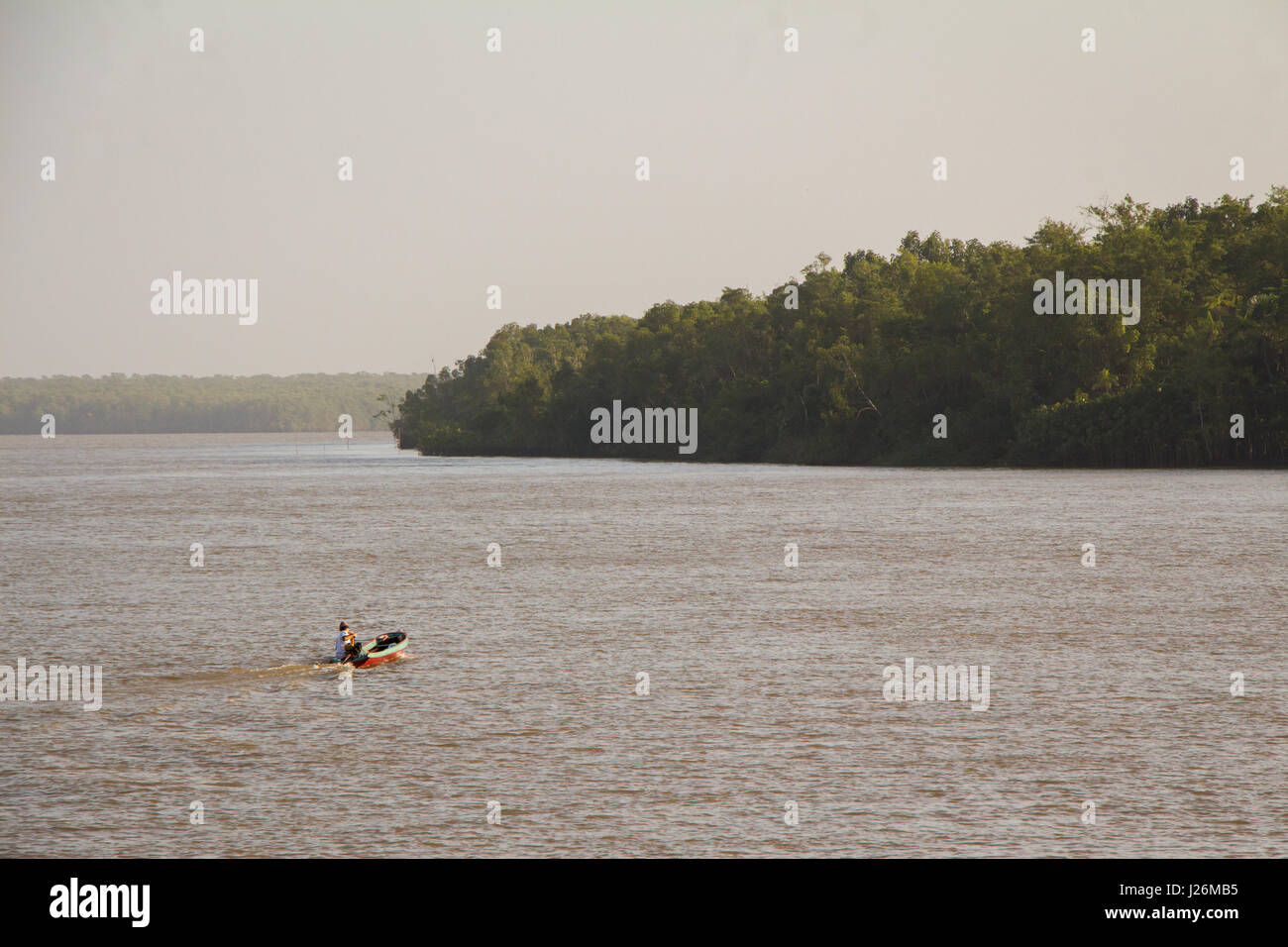 Man sails a 'rabeta', a traditional small brazilian motorboat, in the Amazon river. Stock Photo