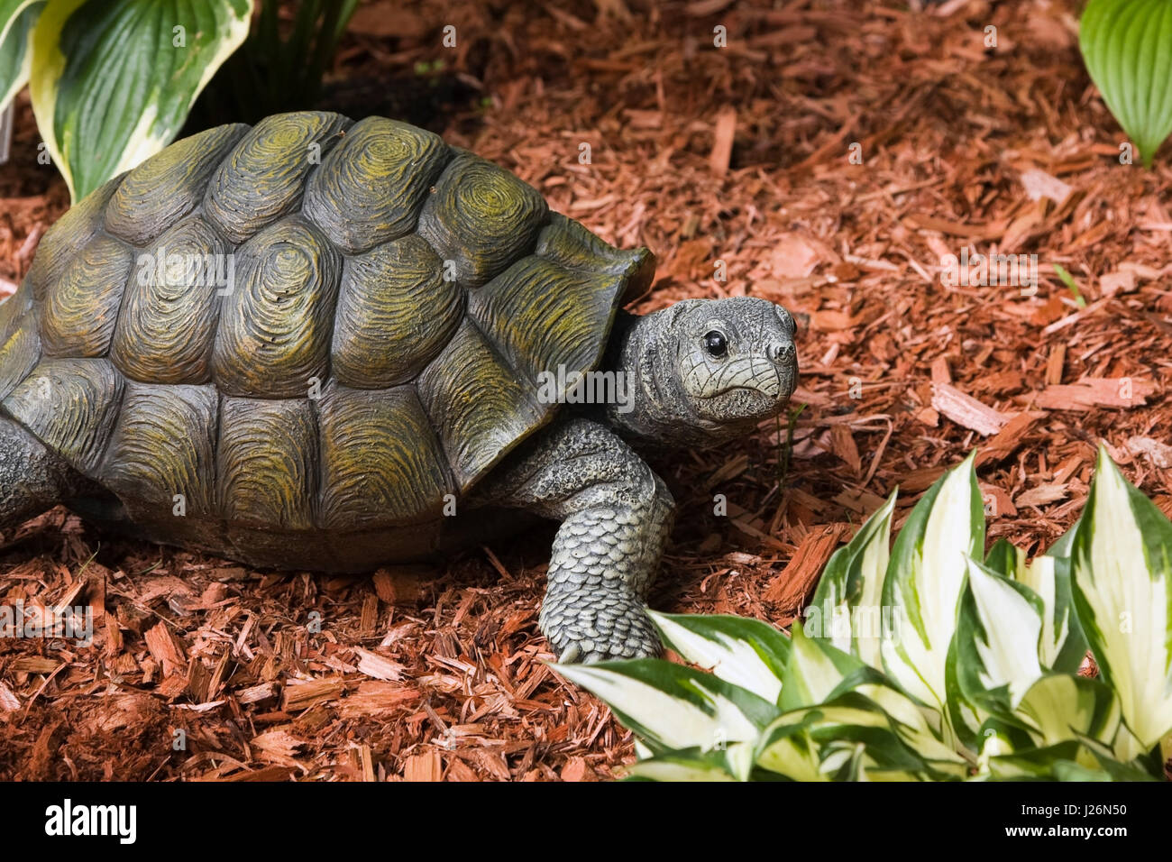 Turtle statue in a landscaped front yard garden in summer Stock Photo
