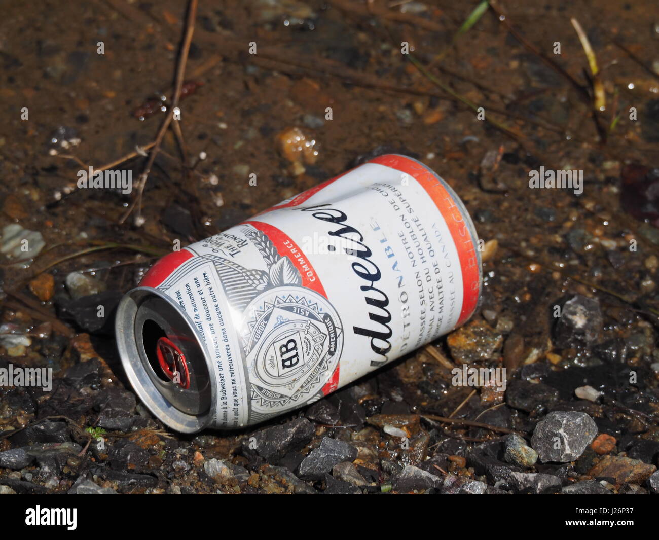 An empty can of Budweiser beer Stock Photo