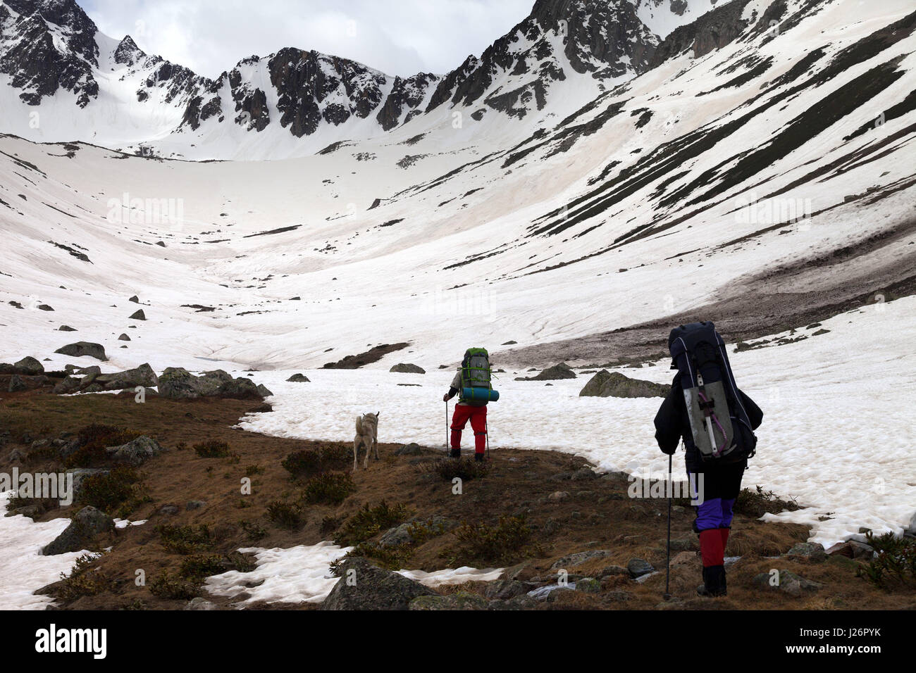 Two hikers with dog at spring snow mountain in morning. Turkey, Kachkar (highest part of Pontic Mountains). Stock Photo