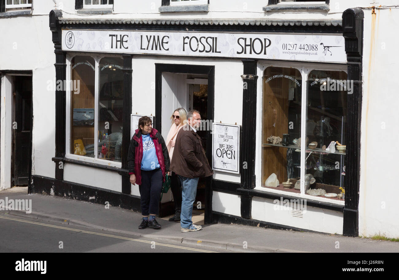 Fossil Shop - The Lyme Fossil Shop, Lyme Regis, Dorset UK Stock Photo