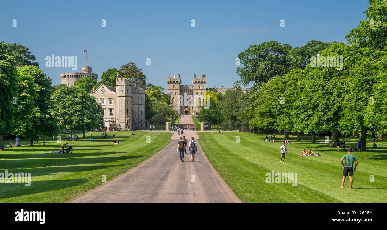 United Kingdom, England, Berkshire, The Long Walk of the Windsor Great Park at Windsor Castle Stock Photo