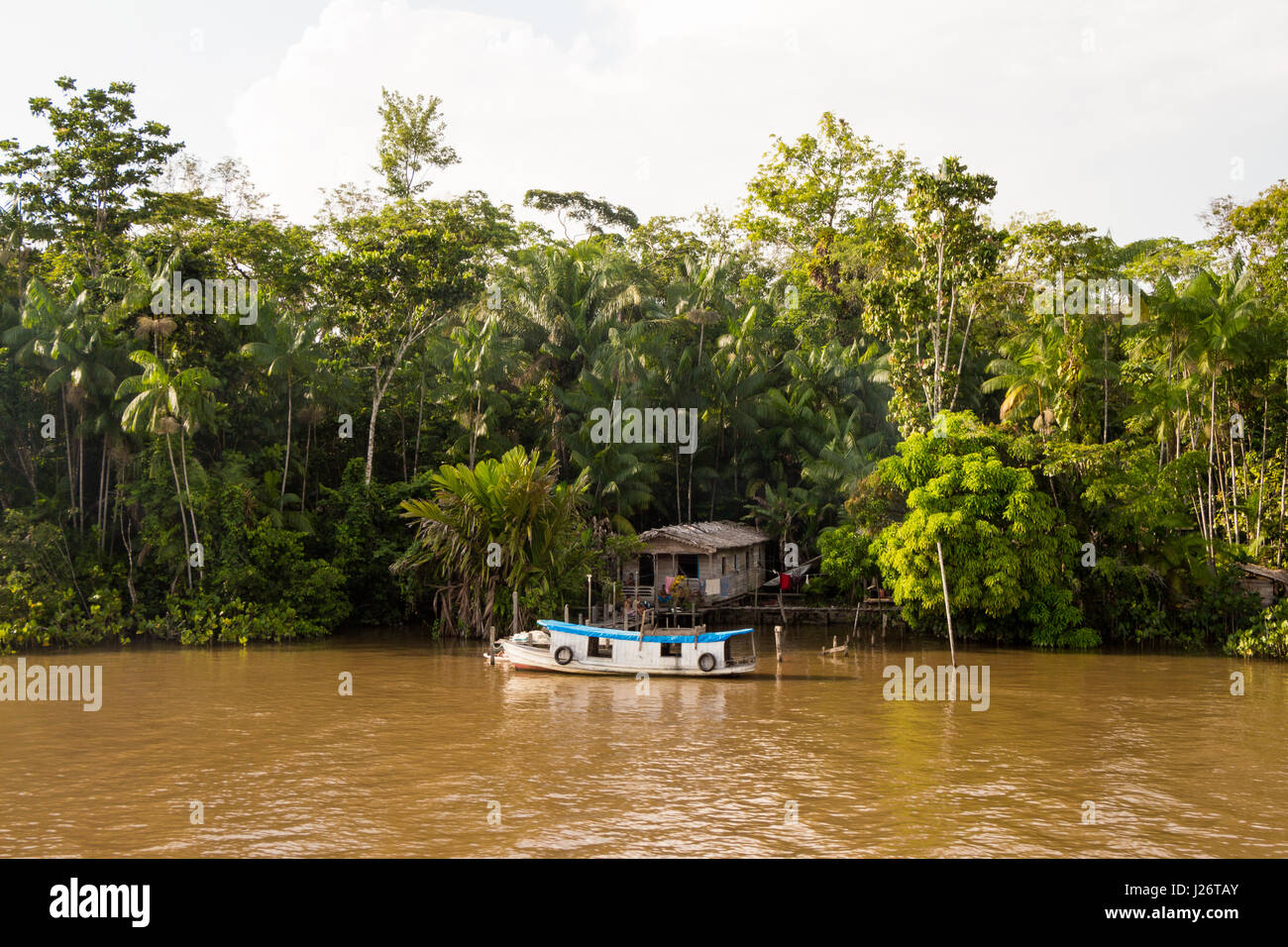 House of locals family lives by the Amazon river side, in Brazil. Stock Photo