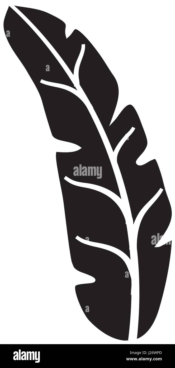 tropical leaf icon Stock Vector Image & Art - Alamy