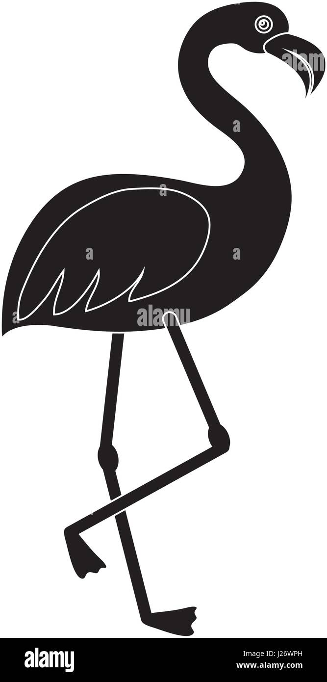 flamingo bird icon Stock Vector Image & Art - Alamy