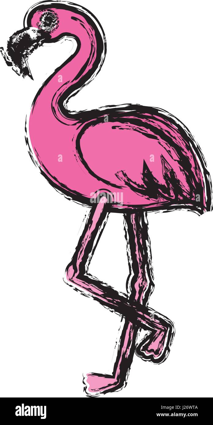 flamingo bird icon Stock Vector Image & Art - Alamy