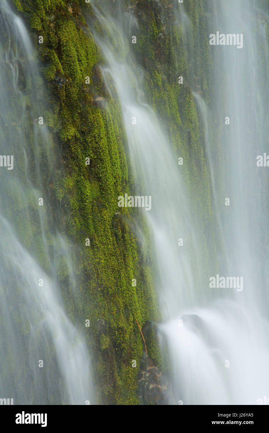 Waterfall along Kopetski Trail, Opal Creek Scenic Recreation Area, Willamette National Forest, Oregon Stock Photo