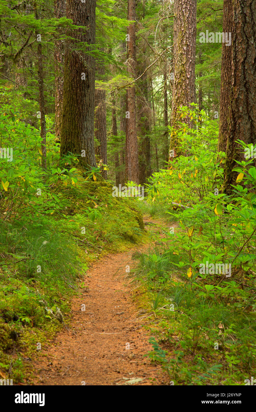 Breitenbush trail hires stock photography and images Alamy