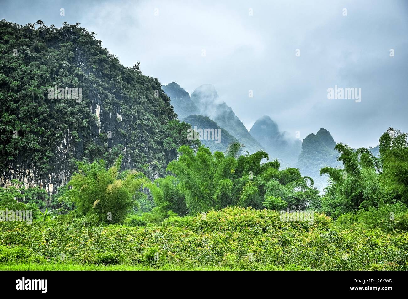 Jungle mist mountains hi-res stock photography and images - Alamy