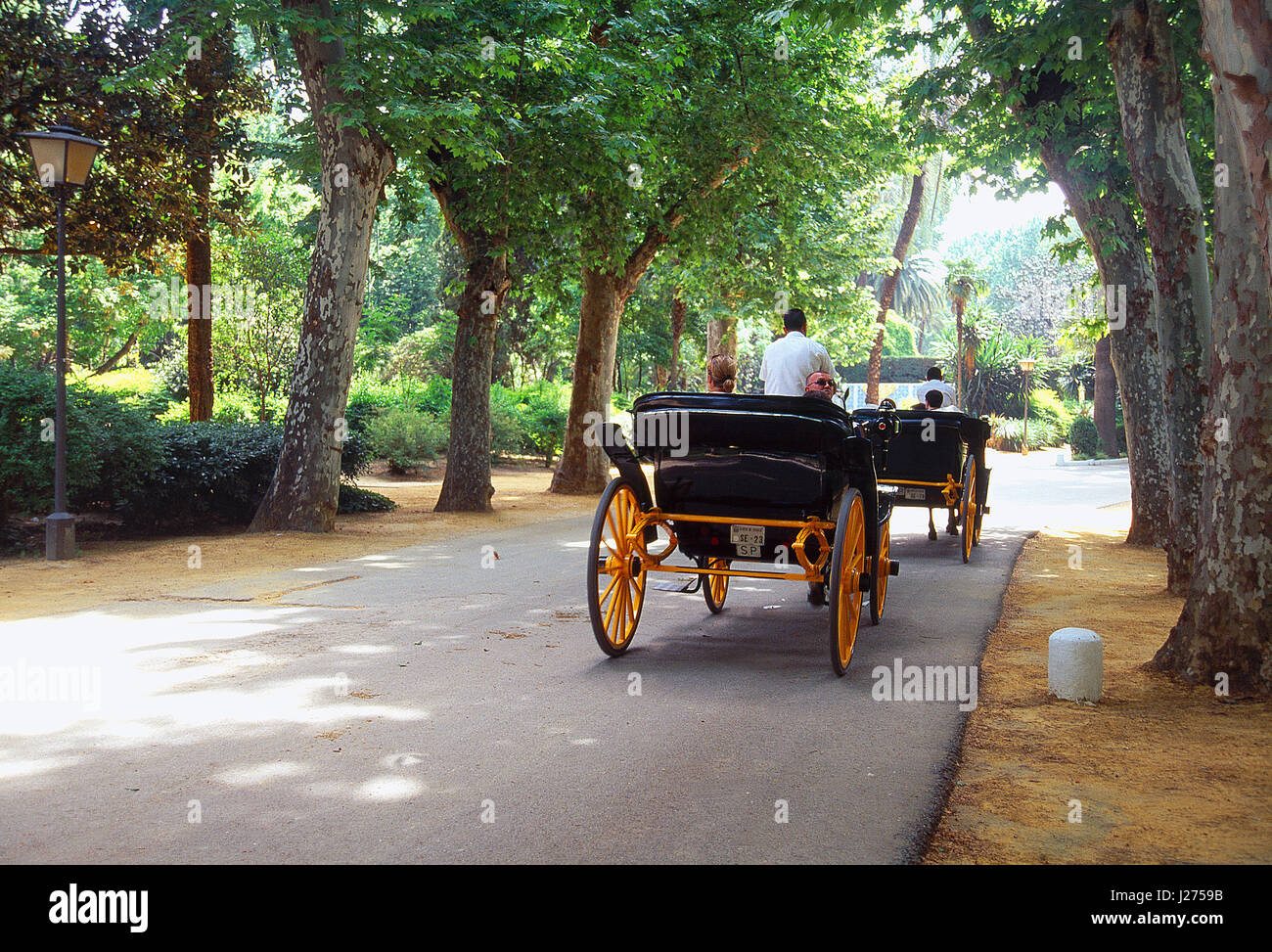 Horse-drawn carriage in Maria Luisa park. Sevilla, Andalucía, Spain. Stock Photo