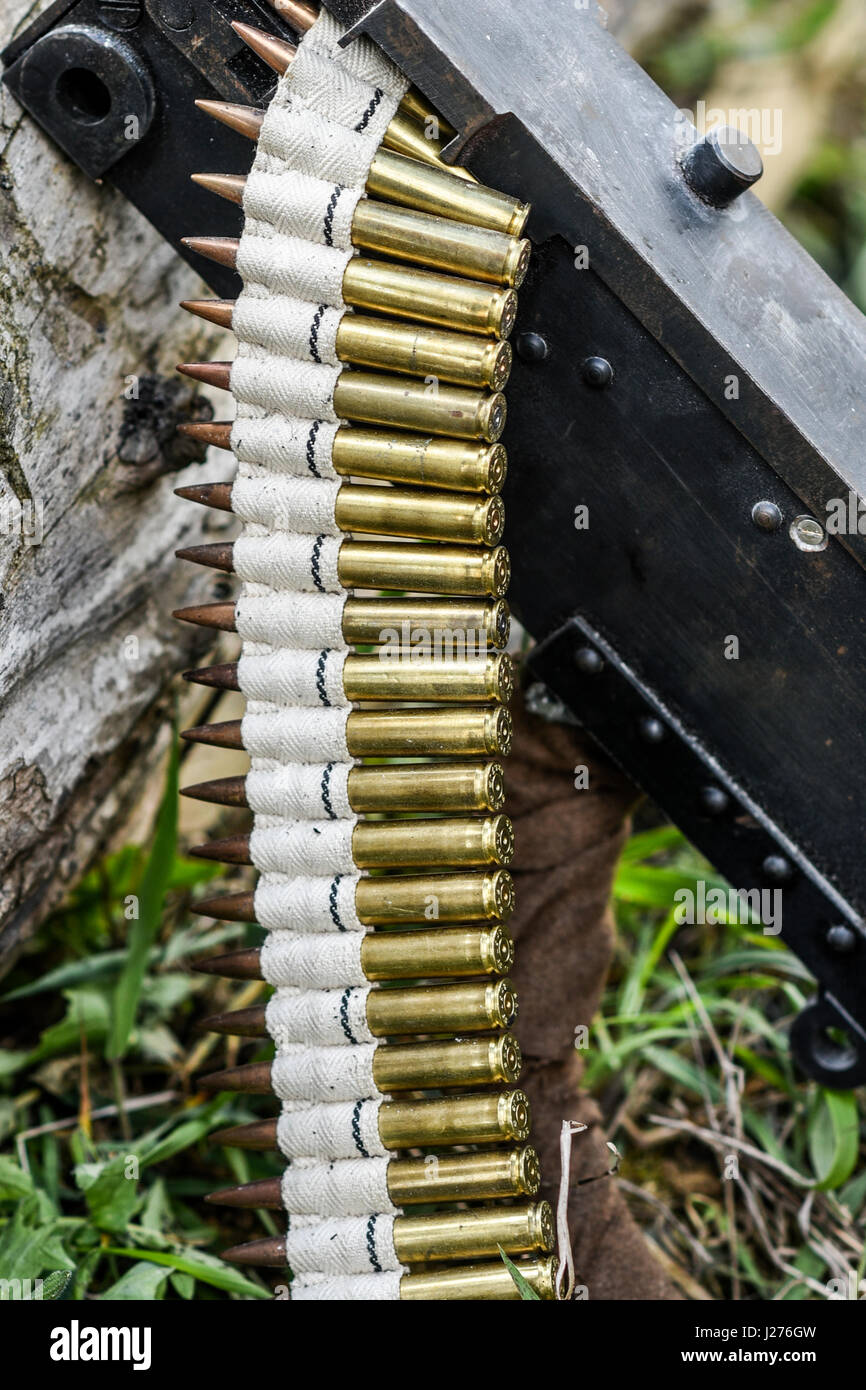 Bullets in ammunition belts outdoor for machine gun Stock Photo Alamy